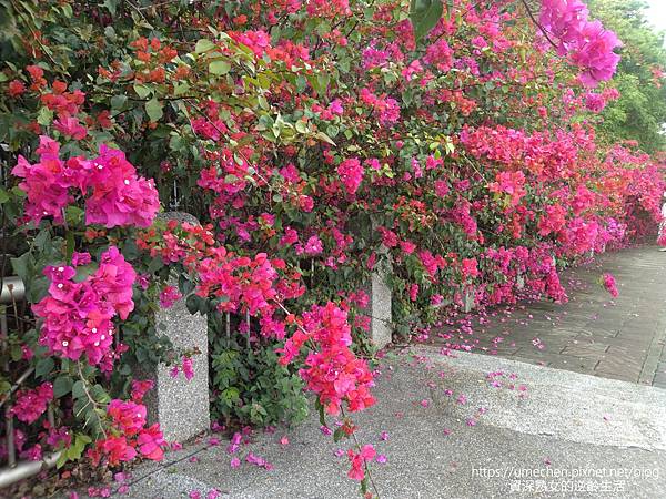 IMG_20220325_153153.jpg IMG_20220325_153153.jpg