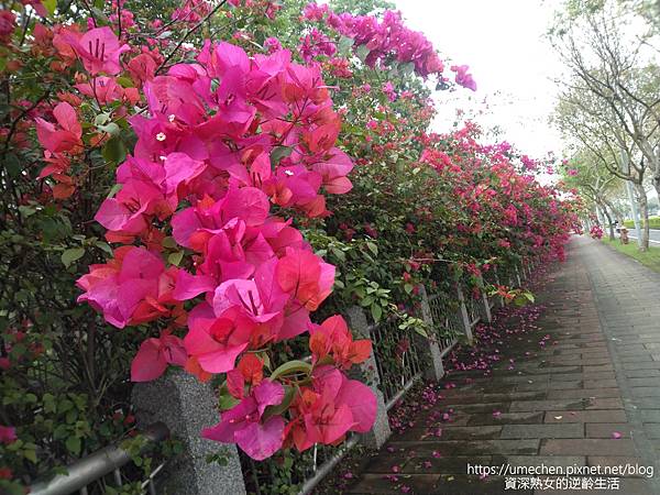 IMG_20220325_153644.jpg IMG_20220325_153644.jpg