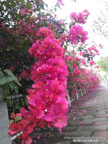 IMG_20220325_153719.jpg IMG_20220325_153719.jpg