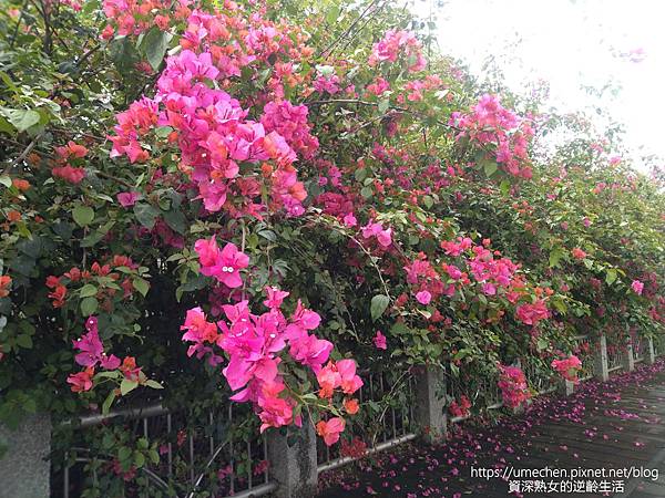 IMG_20220325_153459.jpg IMG_20220325_153459.jpg