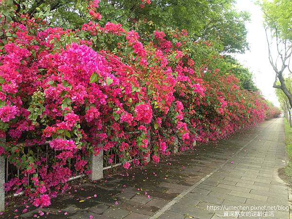 IMG_20220325_153310.jpg IMG_20220325_153310.jpg