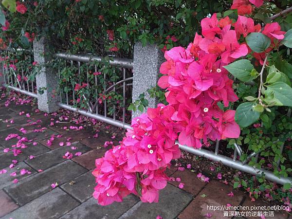 IMG_20220325_153739.jpg IMG_20220325_153739.jpg