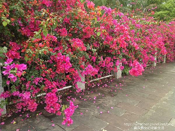 IMG_20220325_153207.jpg IMG_20220325_153207.jpg