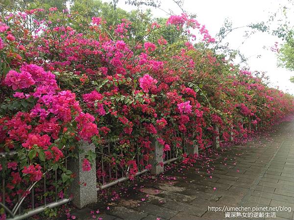 IMG_20220325_153903.jpg IMG_20220325_153903.jpg