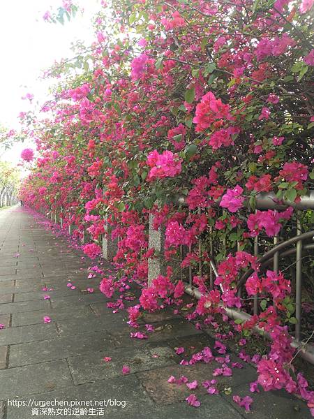 IMG_20220325_154552.jpg IMG_20220325_154552.jpg