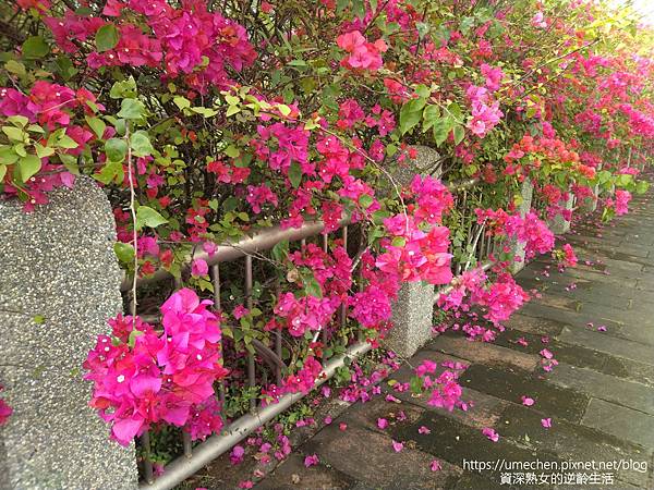 IMG_20220325_154542.jpg IMG_20220325_154542.jpg