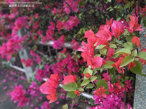 IMG_20220325_155705.jpg IMG_20220325_155705.jpg