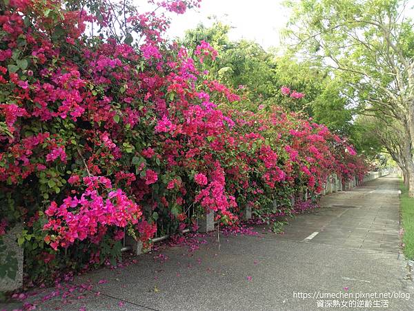 IMG_20220325_155438.jpg IMG_20220325_155438.jpg