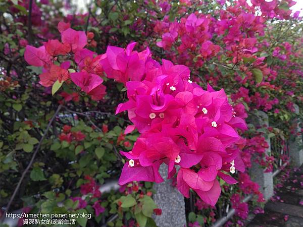 IMG_20220325_155721.jpg IMG_20220325_155721.jpg