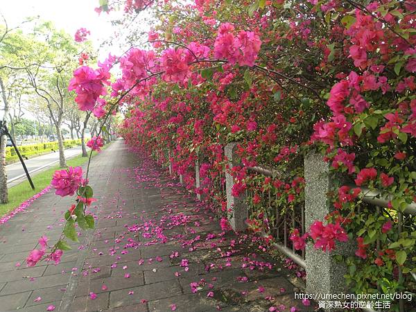 IMG_20220325_160621.jpg IMG_20220325_160621.jpg