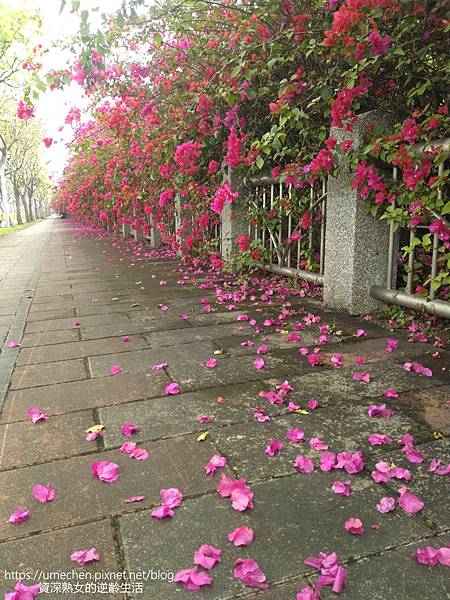 IMG_20220325_160647.jpg IMG_20220325_160647.jpg