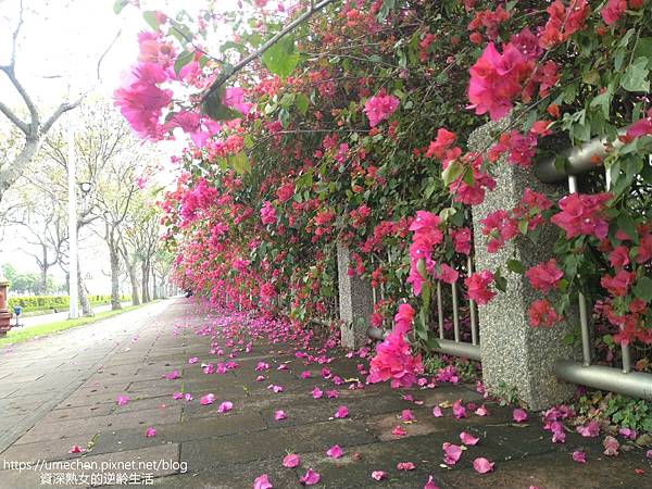 IMG_20220325_160955.jpg IMG_20220325_160955.jpg