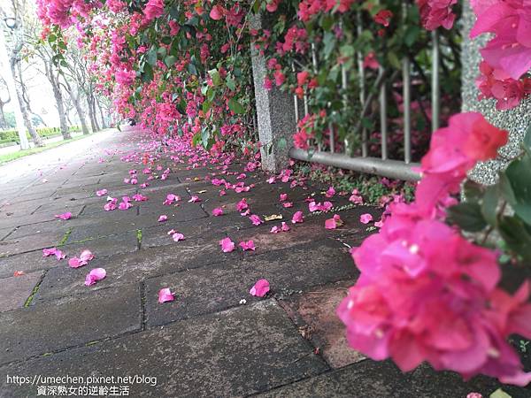 IMG_20220325_161049.jpg IMG_20220325_161049.jpg