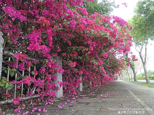 IMG_20220325_162333.jpg IMG_20220325_162333.jpg