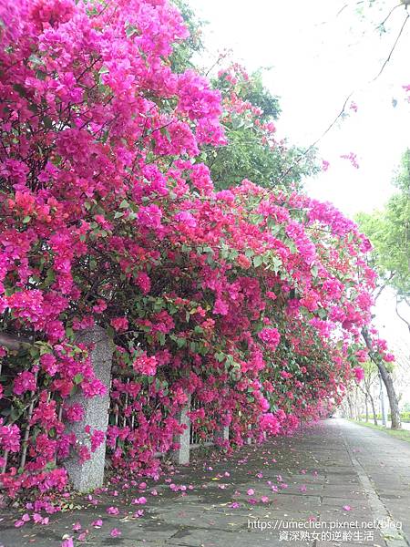 IMG_20220325_162353.jpg IMG_20220325_162353.jpg