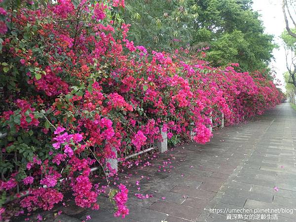 IMG_20220325_162423.jpg IMG_20220325_162423.jpg