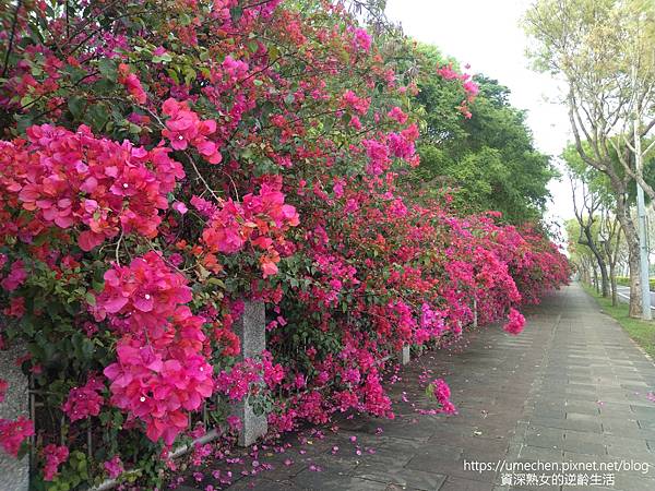 IMG_20220325_162447.jpg IMG_20220325_162447.jpg