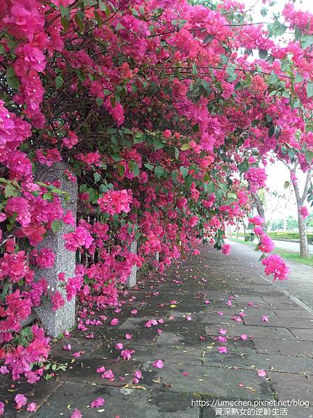 IMG_20220325_163016.jpg IMG_20220325_163016.jpg