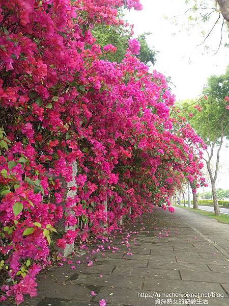 IMG_20220325_162535.jpg IMG_20220325_162535.jpg