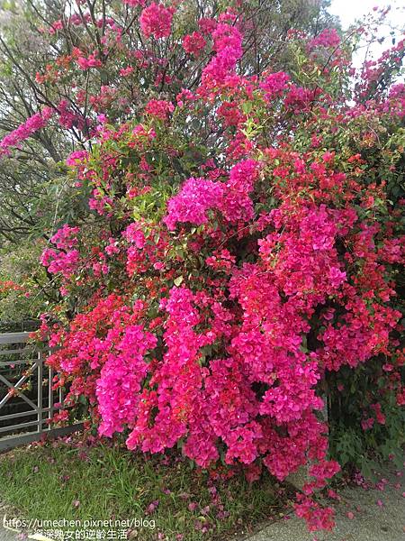 IMG_20220325_163546.jpg IMG_20220325_163546.jpg