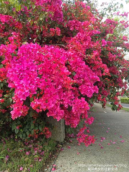 IMG_20220325_163603.jpg IMG_20220325_163603.jpg