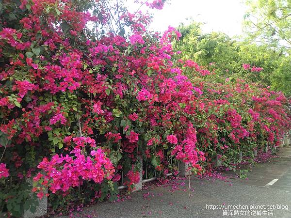 IMG_20220325_163616.jpg IMG_20220325_163616.jpg