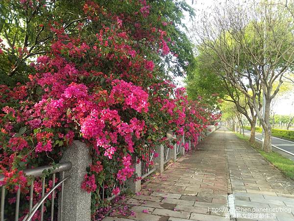 IMG_20220325_163645.jpg IMG_20220325_163645.jpg