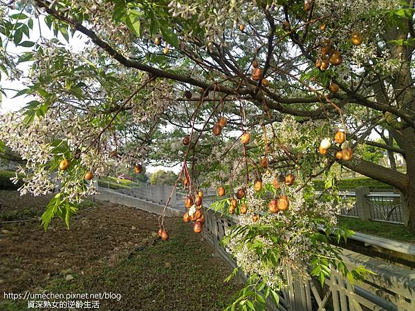 IMG_20220325_164238.jpg IMG_20220325_164238.jpg