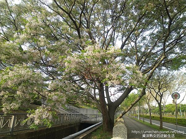 IMG_20220325_163819.jpg IMG_20220325_163819.jpg