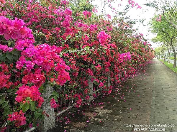 MYXJ_20220325153852626_fast.jpg MYXJ_20220325153852626_fast.jpg