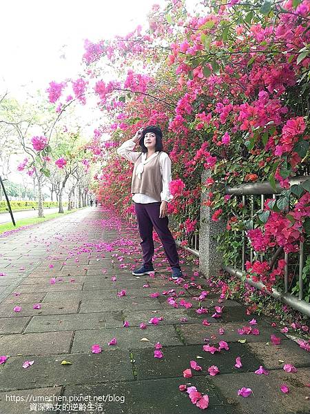 MYXJ_20220325160301278_fast.jpg MYXJ_20220325160301278_fast.jpg