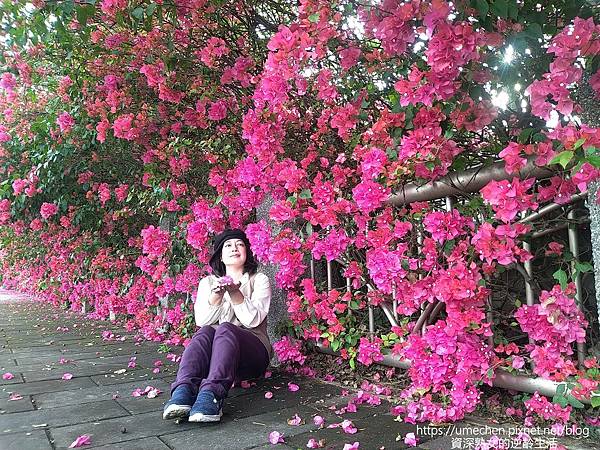 MYXJ_20220325161755374_fast.jpg MYXJ_20220325161755374_fast.jpg