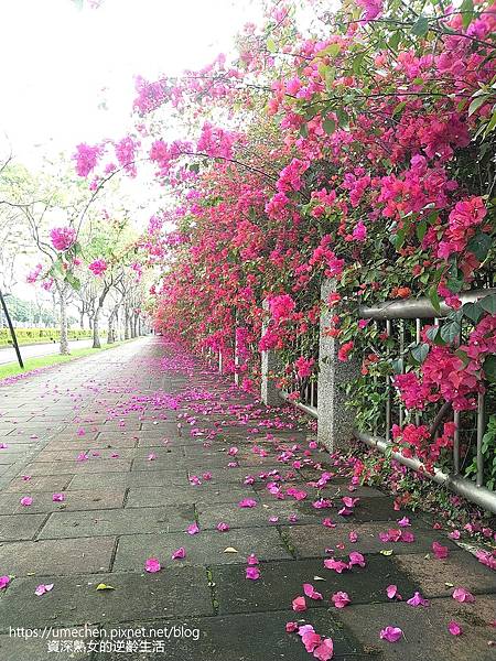 MYXJ_20220325160409829_fast.jpg MYXJ_20220325160409829_fast.jpg