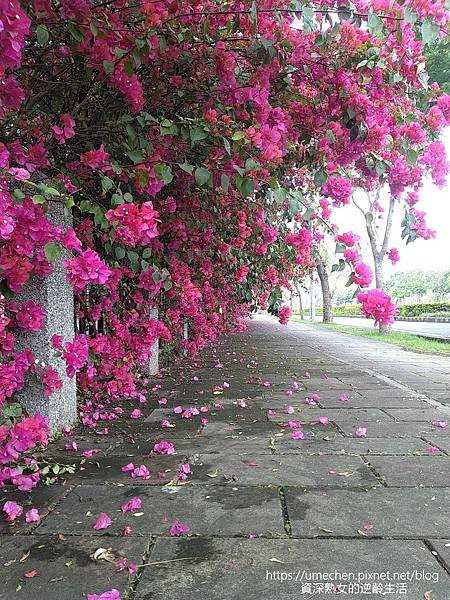 MYXJ_20220325162831479_org.jpg MYXJ_20220325162831479_org.jpg