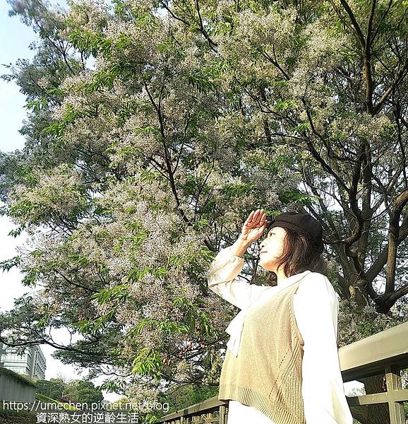 MYXJ_20220325164452721_fast.jpg MYXJ_20220325164452721_fast.jpg