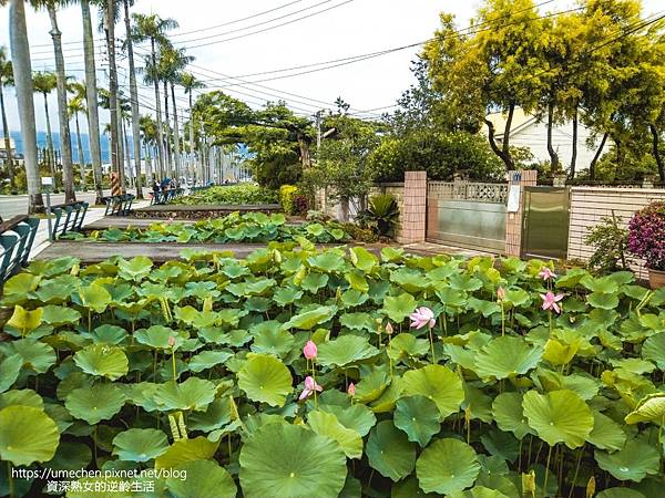 IMG_20220503_095101.jpg IMG_20220503_095101.jpg