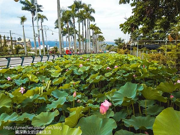 IMG_20220503_095423.jpg IMG_20220503_095423.jpg