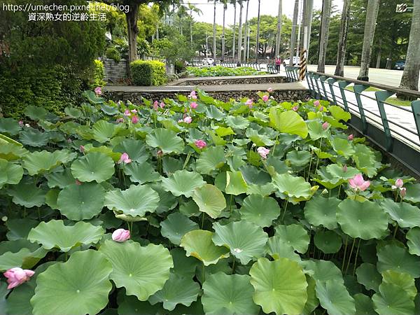 IMG_20220503_095342.jpg IMG_20220503_095342.jpg