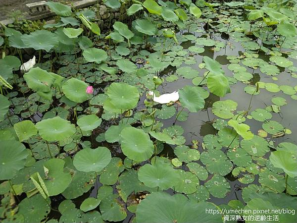 IMG_20220503_094834.jpg IMG_20220503_094834.jpg