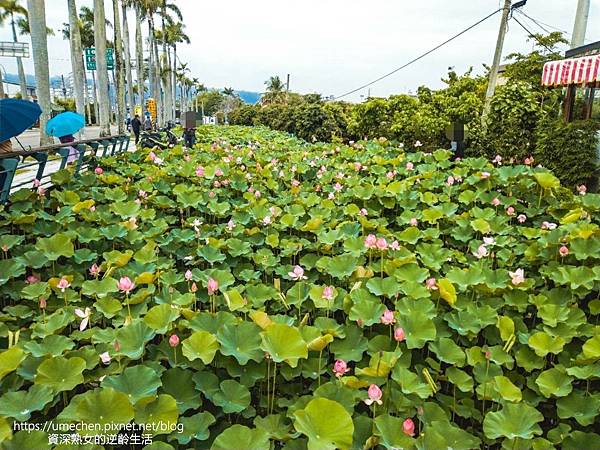 IMG_20220503_100030.jpg IMG_20220503_100030.jpg