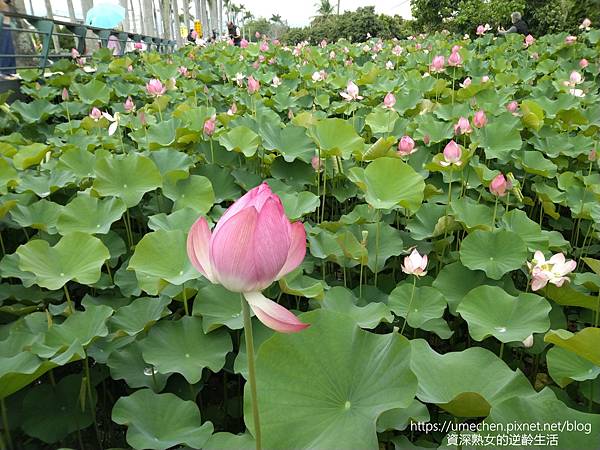 IMG_20220503_100031.jpg IMG_20220503_100031.jpg