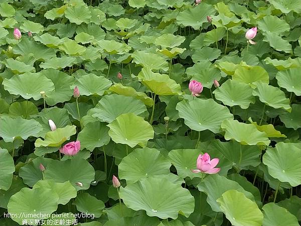 IMG_20220503_095952.jpg IMG_20220503_095952.jpg