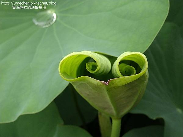 IMG_20220503_100346.jpg IMG_20220503_100346.jpg