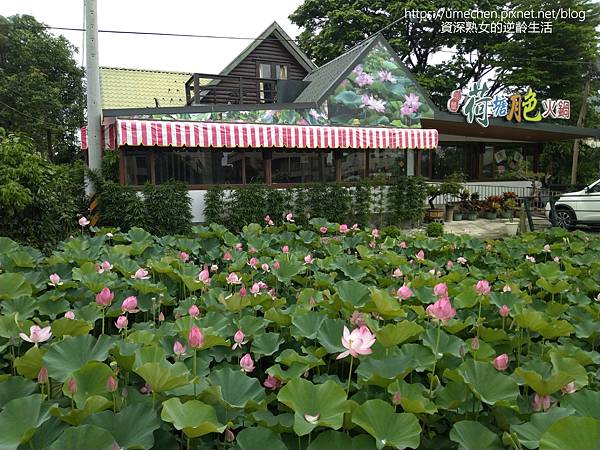 IMG_20220503_100541.jpg IMG_20220503_100541.jpg