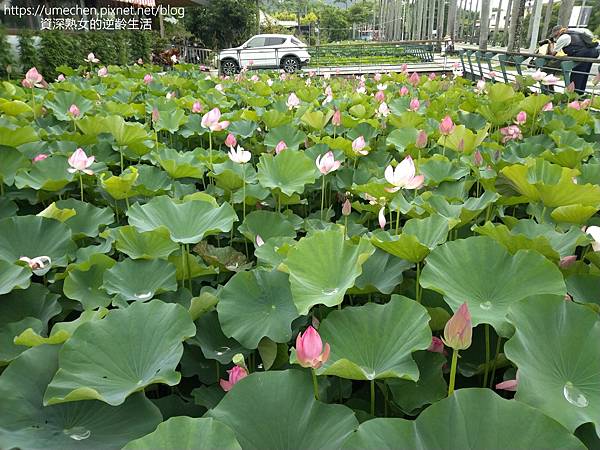 IMG_20220503_100644.jpg IMG_20220503_100644.jpg