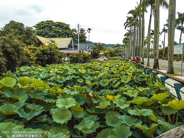 IMG_20220503_101030.jpg IMG_20220503_101030.jpg