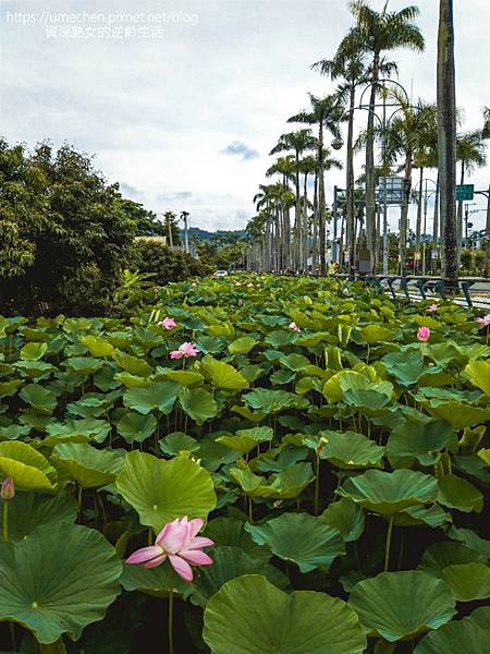 IMG_20220503_101403.jpg IMG_20220503_101403.jpg