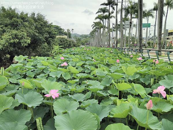 IMG_20220503_101410.jpg IMG_20220503_101410.jpg