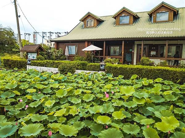 IMG_20220503_101613.jpg IMG_20220503_101613.jpg