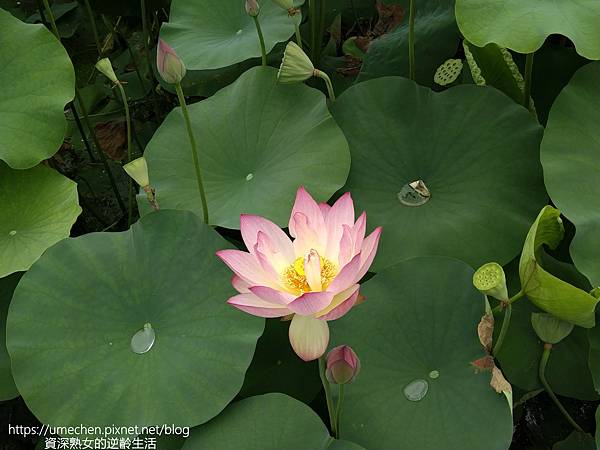 IMG_20220503_102132.jpg IMG_20220503_102132.jpg